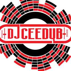 Dub City Entertainment/DJ CeeDub, profile image