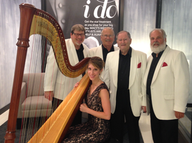 Tiffany Envid Jones - Harpist - Harpist - Columbus, OH - Hero Gallery 4