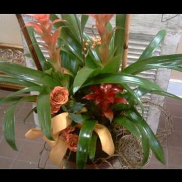 Rachel's Flowers and Gifts - Florist - Memphis, TN - Hero Main