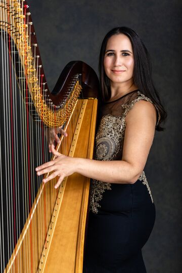 Laura Palmieri Michigan Harpist - Harpist - Birmingham, MI - Hero Main