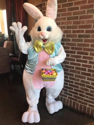 Las Vegas Easter Bunny - Easter Bunny - Las Vegas, NV - Hero Main