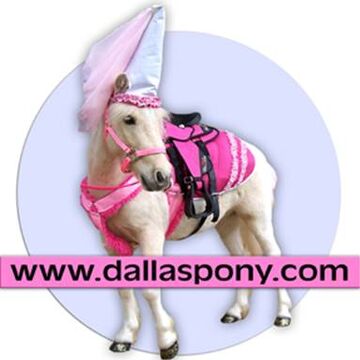 Dallas Pony - Petting Zoo - Dallas, TX - Hero Main