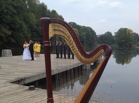 Adrianna Wolaver- Atlanta Harp Music - Harpist - Atlanta, GA - Hero Gallery 4