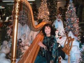 Harpist Phyllis Hoffman Platt - Harpist - Lenexa, KS - Hero Gallery 3