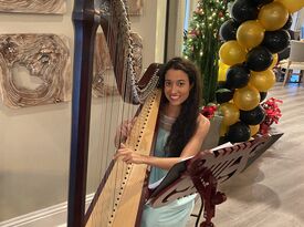 Liv Through Music - Harpist - Sarasota, FL - Hero Gallery 4