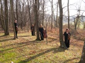 String Quartet of Northern Virginia  - String Quartet - Alexandria, VA - Hero Gallery 1