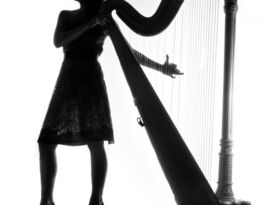 Nicole Mcallister - Harpist - Harpist - Charlotte, NC - Hero Gallery 4
