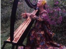 Mary Amanda Fairchild - Harpist - Salt Lake City, UT - Hero Gallery 3