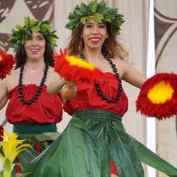 Aloha Hula Dancers, profile image