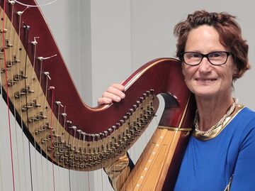 Sue Druckenmiller - Harpist - Saint Ann, MO - Hero Main