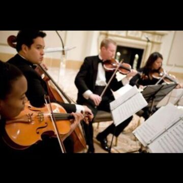 Accolade Musicians (Quartet, Trio, Or Duo) - String Quartet - Chicago, IL - Hero Main