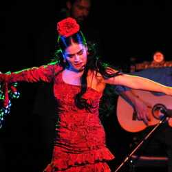 Paloma Flamenca, profile image