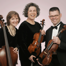 Classic String Trio + 3 Duos, profile image