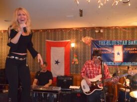 The Blue Star Band - Country Band - Brooklyn, NY - Hero Gallery 3