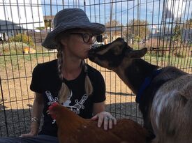 All About A Farm - Petting Zoo - Davis, CA - Hero Gallery 1