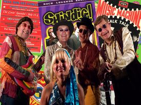 SHiNDiG! - 60s Band - Westmont, IL - Hero Gallery 2