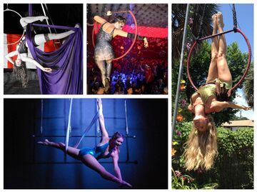 Aerial Dragons LLC - Circus Performer - Tampa, FL - Hero Main