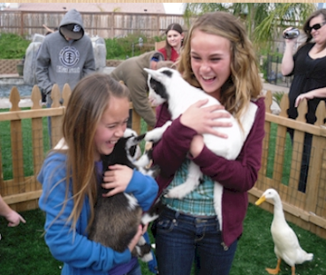 Jessie's Party Animals - Petting Zoo - Los Angeles, CA - Hero Main