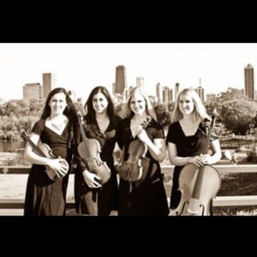 Allium Strings - String Quartet - Madison, WI - Hero Main