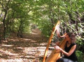 Stephanie Claussen, harpist - Harpist - Saint Paul, MN - Hero Gallery 4