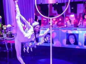 Angels Entertainment Dance Company - Circus Performer - Miami, FL - Hero Gallery 4