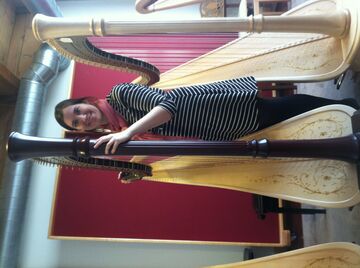 Katherine Denler, Harpist - Harpist - East Lansing, MI - Hero Main