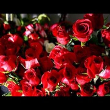 Enchanted Florist - Florist - Las Vegas, NV - Hero Main