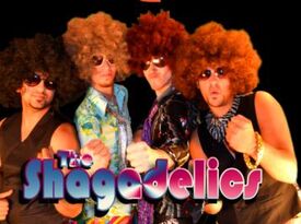 The Shagadelics - Disco Band - Chicago, IL - Hero Gallery 2