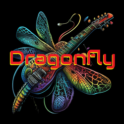 DRAGONFLY - Party Rock & Dance Band, profile image