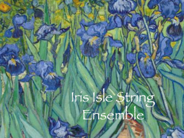 Iris Isle String Ensemble  - String Quartet - Crystal Lake, IL - Hero Main