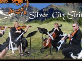 Silver City Strings - String Quartet - Aspen, CO - Hero Gallery 1