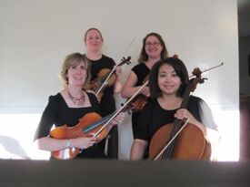 Kingswood String Quartet - String Quartet - Reston, VA - Hero Gallery 2