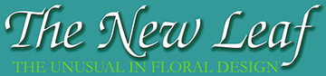 The New Leaf - Florist - Norfolk, VA - Hero Main