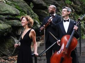 The Four Seasons Ensemble - Classical Quartet - New York City, NY - Hero Gallery 1