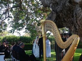 Harp Music By Vonette - Harpist - Beverly Hills, CA - Hero Gallery 4