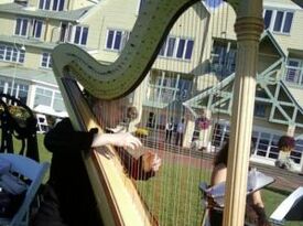 Heather Donovan, harpist and pianist - Harpist - Maple Valley, WA - Hero Gallery 3
