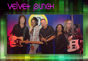 Velvet Punch - Cover Band - Houston, TX - Hero Main