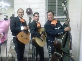 trio mariachi acapulco - Mariachi Band - Ontario, CA - Hero Gallery 2