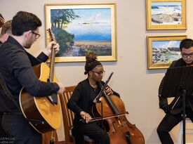 D'Amico Entertainment String Quartet - String Quartet - Boston, MA - Hero Gallery 1