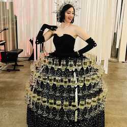 Melanie's Champagne Skirts, profile image