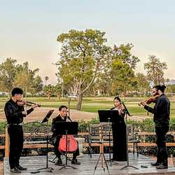 Serenade Events - San Diego, profile image
