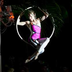 Cirque-tacular - Florida - Themed & Circus Events, profile image