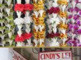 Cindy’s Lei & Flower Shoppe - Florist - Honolulu, HI - Hero Gallery 2