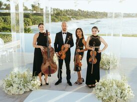 Kiral Artists - String Quartet - Miami, FL - Hero Gallery 2