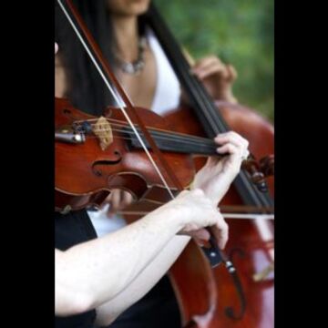 Celebration Musicians - String Quartet - Miami, FL - Hero Main