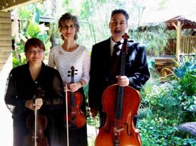 Scottsdale String Quartet - Classical Quartet - Scottsdale, AZ - Hero Gallery 3