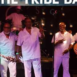 THE TRIBE BAND & SHOW, profile image