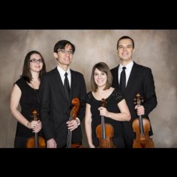 Wellington String Ensembles - String Quartet - Chicago, IL - Hero Main