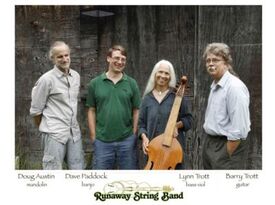 Runaway String Band - Acoustic Band - Williamsburg, VA - Hero Gallery 1
