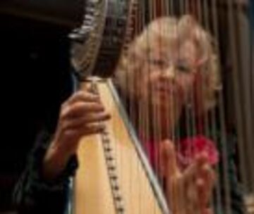 Mary Ann Harr - Harpist - Madison, WI - Hero Main